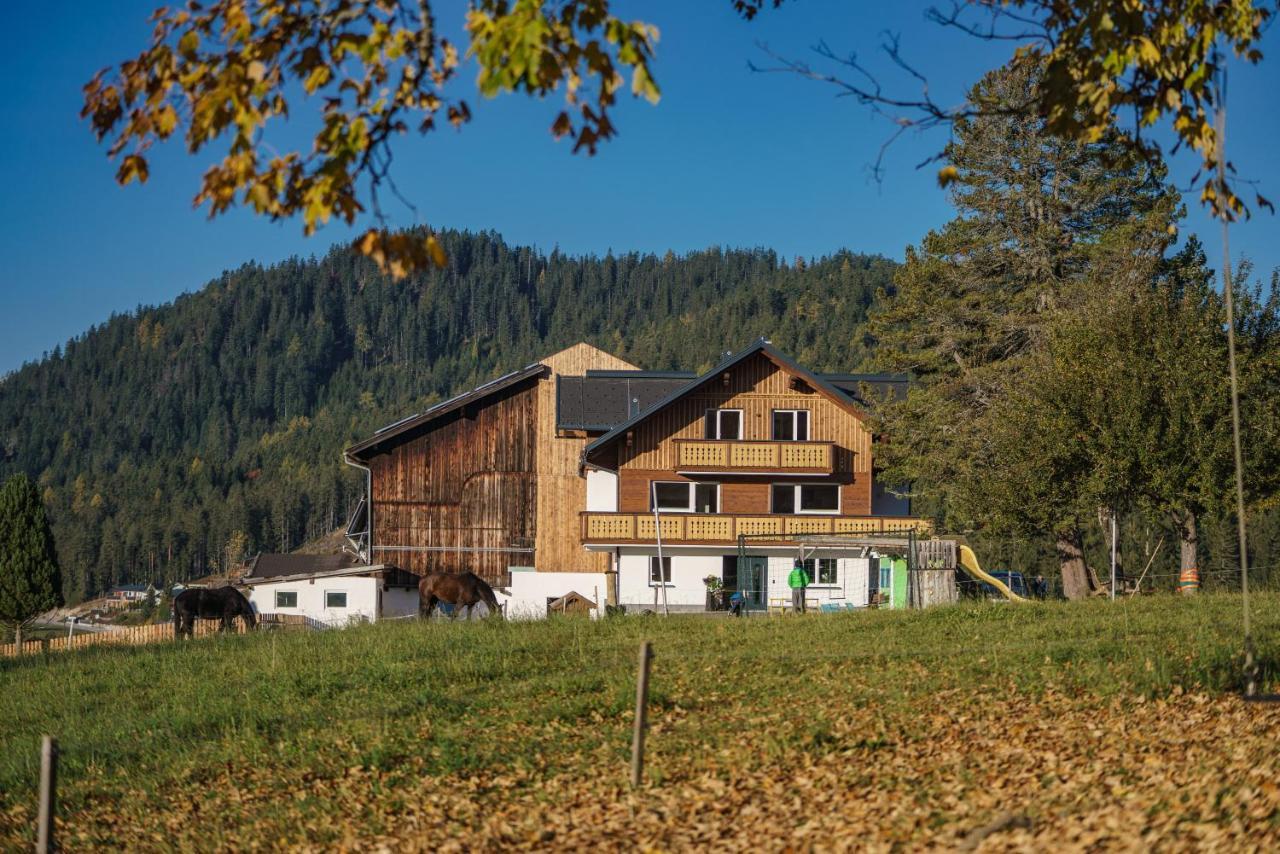 Deluxe Appartement Blasbichlerhof Ramsau am Dachstein Exterior foto